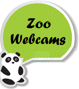 National Zoo Webcams